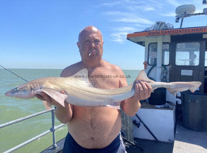 13 lb Smooth-hound by Unknown