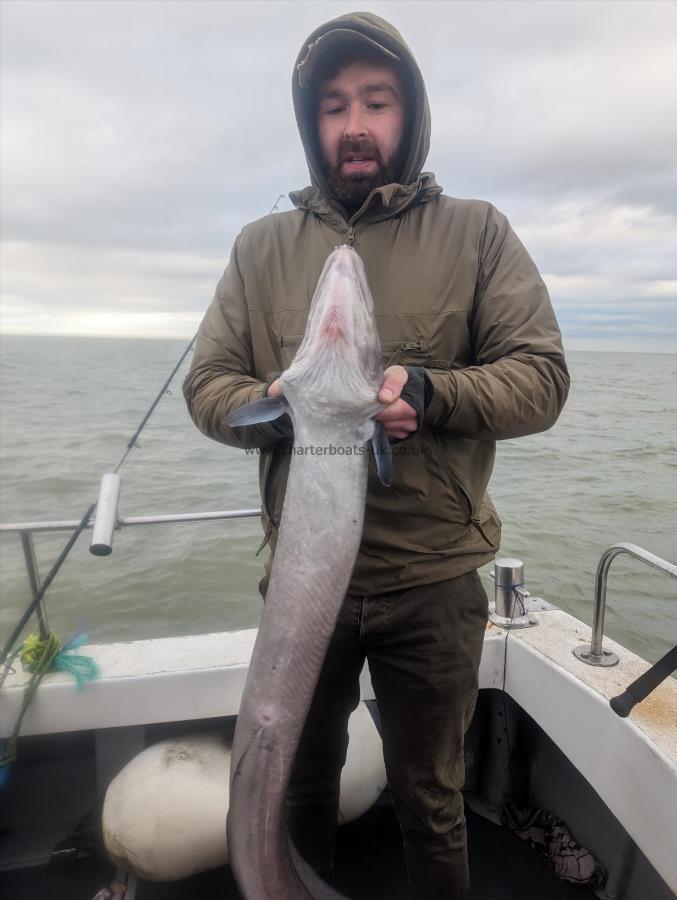 16 lb Conger Eel by Asron