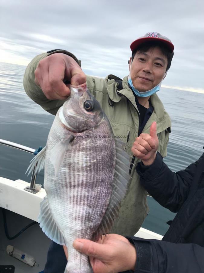 4 lb Black Sea Bream by Unknown