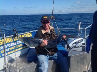 75 lb Blue Shark by Andrew Churchill