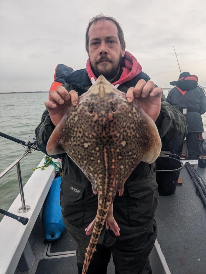 3 lb Thornback Ray by Andrew