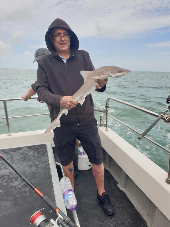 6 lb Starry Smooth-hound by Bob Marshall