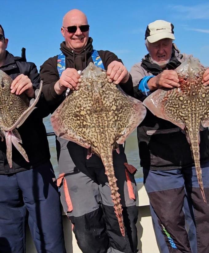 11 lb 15 oz Thornback Ray by Lawrence