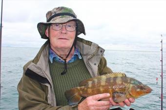 2 lb Ballan Wrasse by Keith