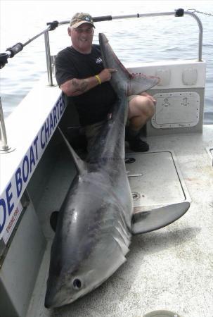 220 lb Porbeagle by Andy Truelove