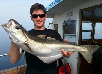 7 lb 3 oz Pollock by Freddy