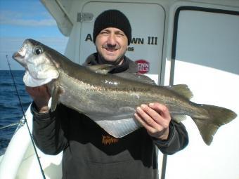 12 lb 2 oz Pollock by Kevin Rouse