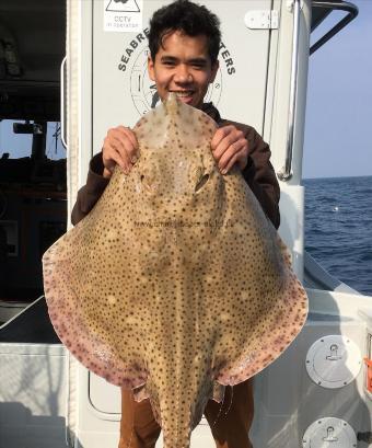 26 lb Blonde Ray by Barry watts