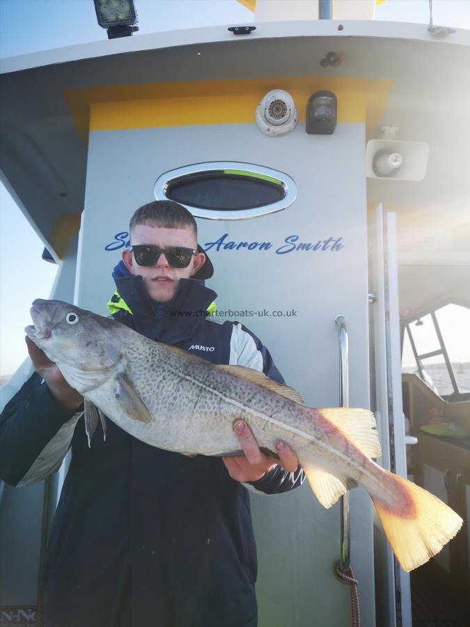 8 lb 6 oz Cod by Unknown