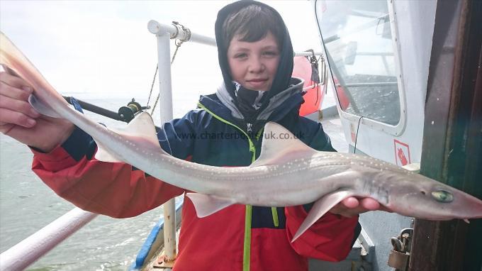 5 lb 4 oz Smooth-hound by Freddy from Kent