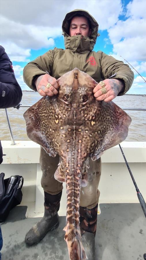 15 lb 2 oz Thornback Ray by Martin