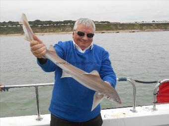 4 lb 5 oz Starry Smooth-hound by Dave