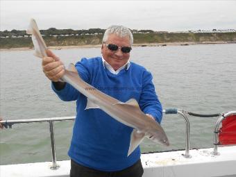 4 lb 5 oz Starry Smooth-hound by Dave