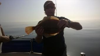 2 lb 8 oz Plaice by Stephen Wake