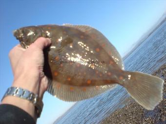 2 lb Plaice by Unknown