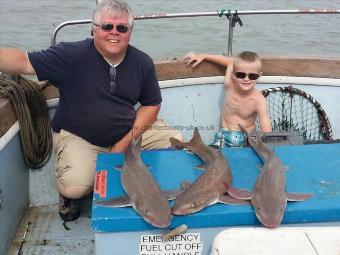 17 lb Starry Smooth-hound by David Sutton