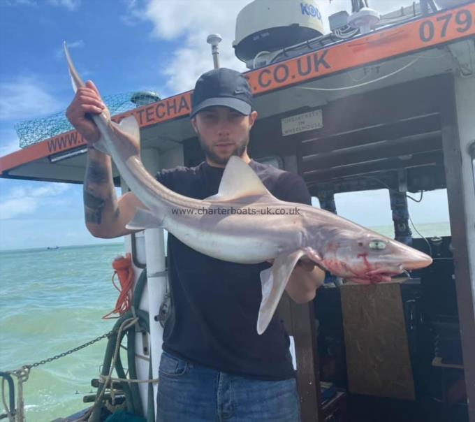 12 lb Smooth-hound (Common) by Unknown