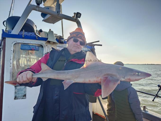 6 lb Smooth-hound by Reg