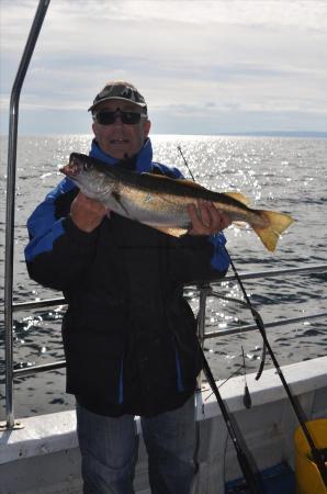 6 lb 4 oz Pollock by Phil' from Leigh