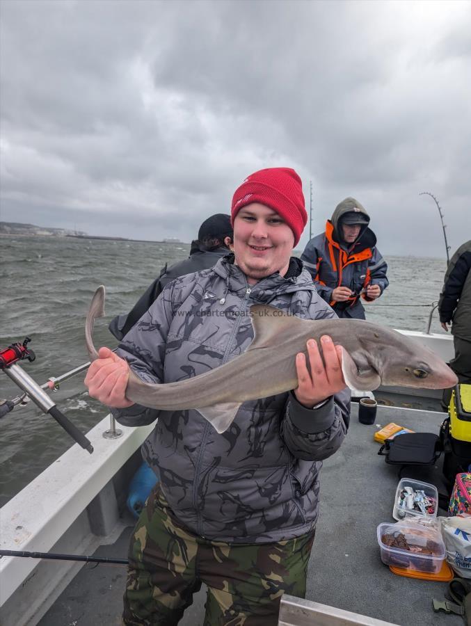 4 lb Smooth-hound by Jack