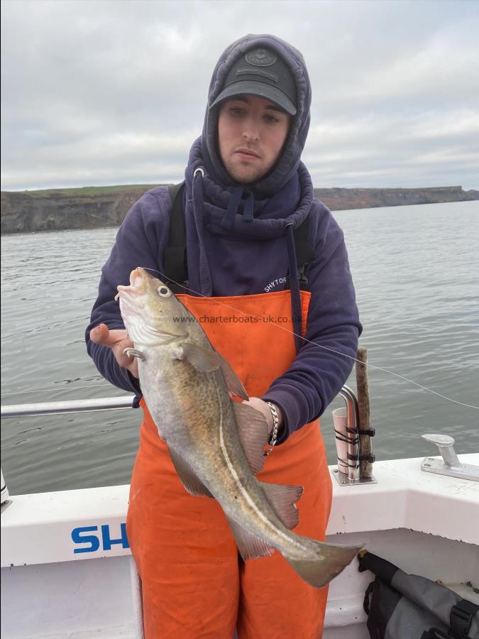 4 lb Cod by Fergus Powell.