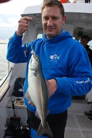 2 lb Coalfish (Coley/Saithe) by Tojo