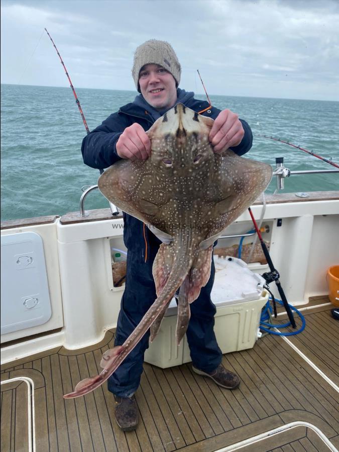 15 lb 4 oz Undulate Ray by Unknown
