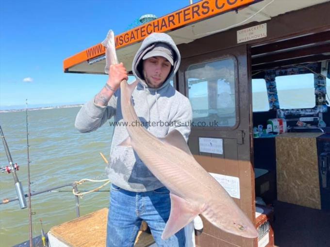 18 lb Smooth-hound (Common) by Unknown