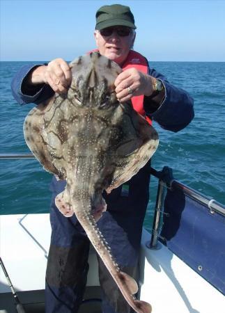 15 lb Undulate Ray by Roger Chase