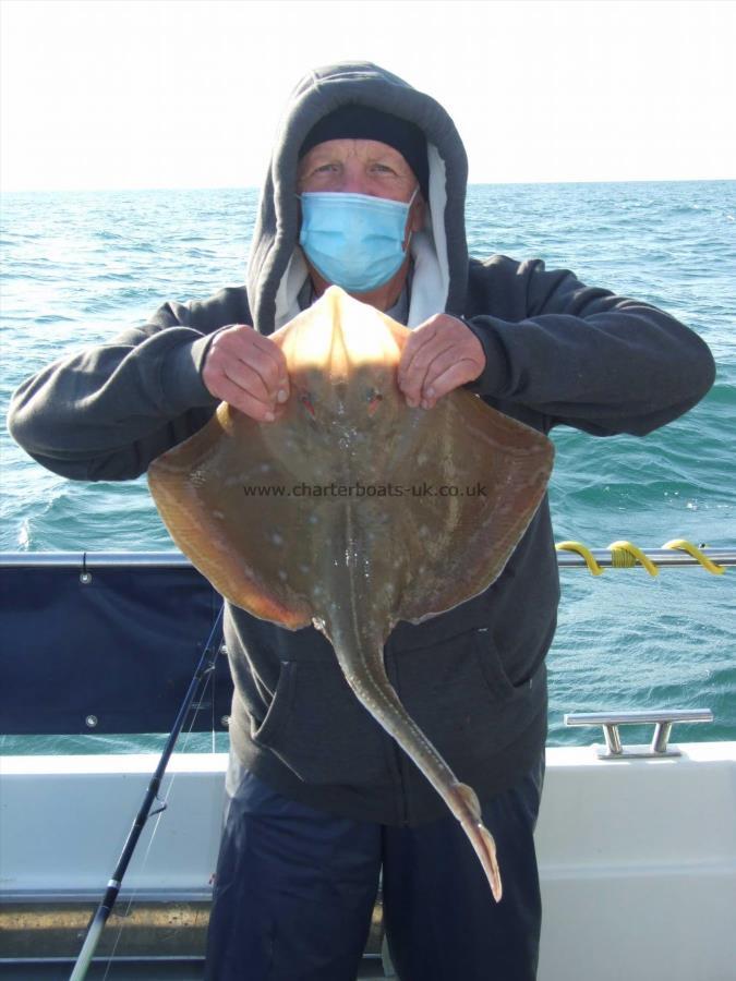 8 lb 12 oz Small-Eyed Ray by Paddy Studley