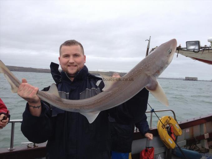 12 lb Starry Smooth-hound by RW