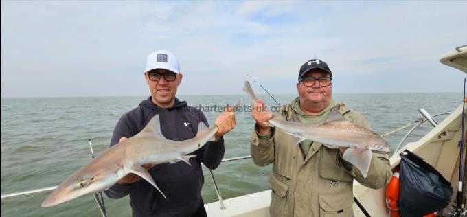 8 lb 2 oz Smooth-hound by Doug