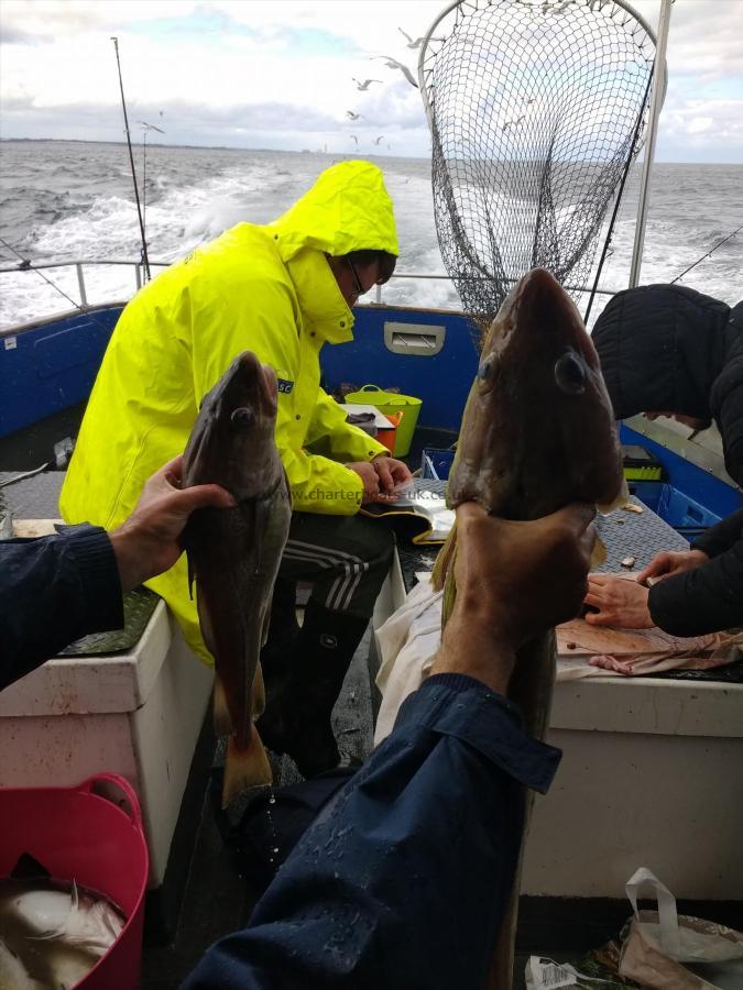 9 lb Ling by Peter Mackintosh
