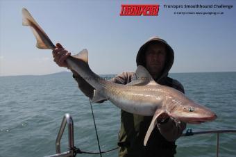 17 lb Starry Smooth-hound by Sean