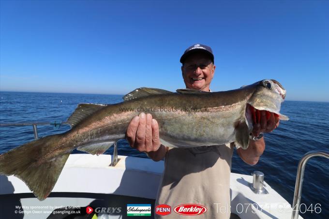 9 lb Pollock by Micky