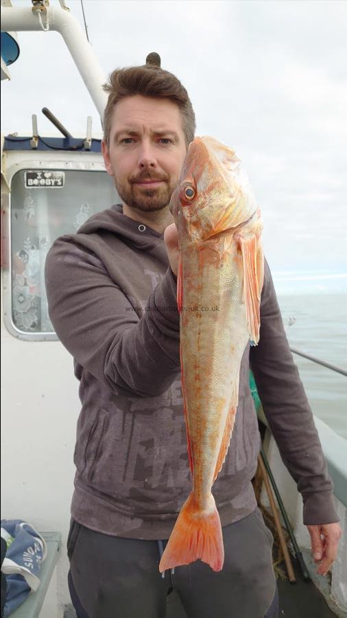 3 lb Tub Gurnard by Dale