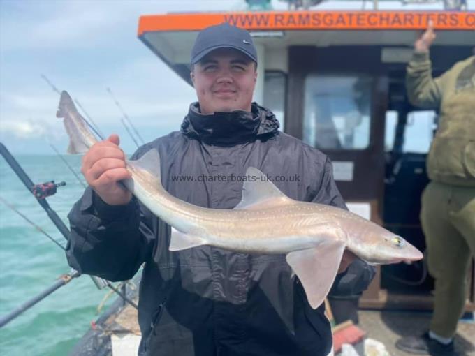 5 lb Smooth-hound by Unknown