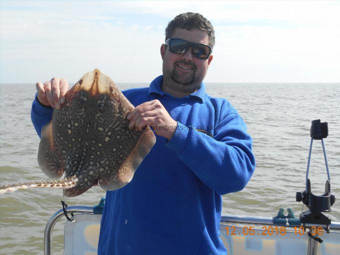 4 lb Thornback Ray by ian blythe