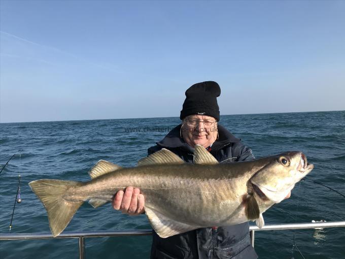 14 lb 12 oz Pollock by Sam