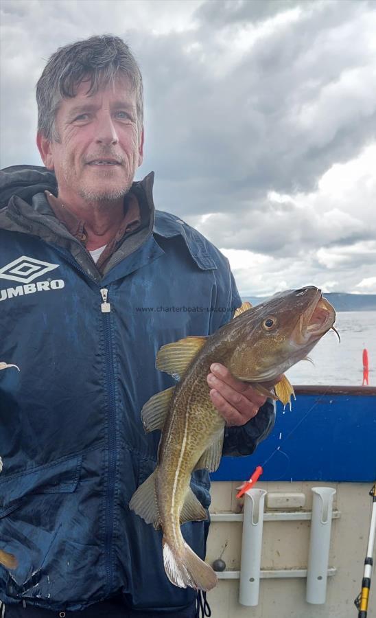 3 lb 12 oz Cod by Unknown