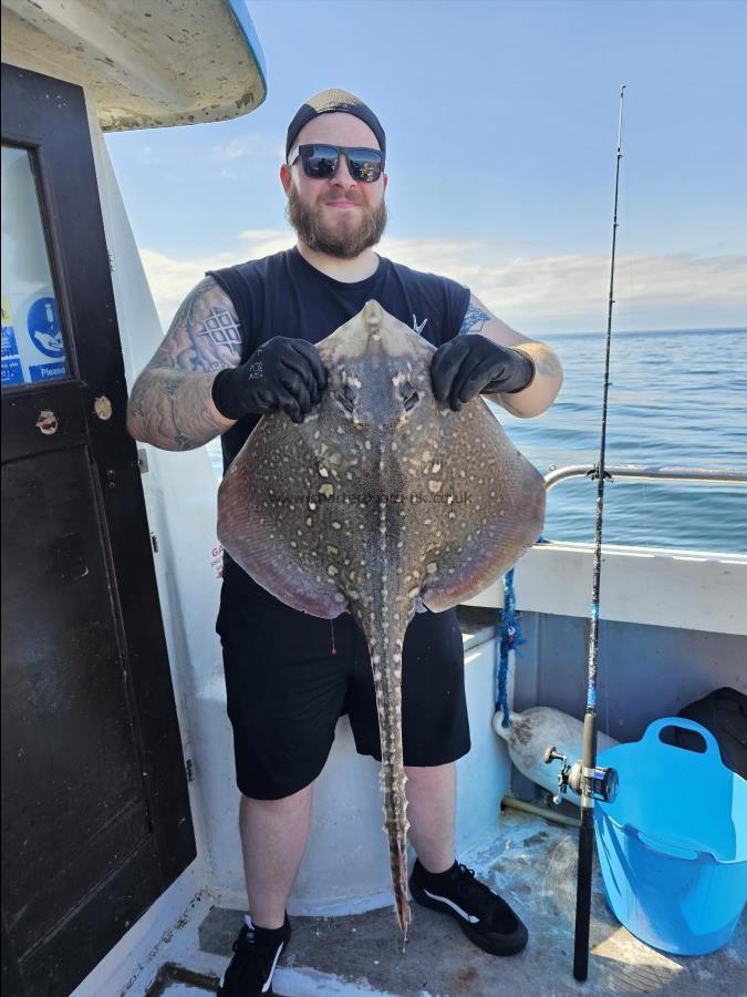 12 lb Thornback Ray by Unknown