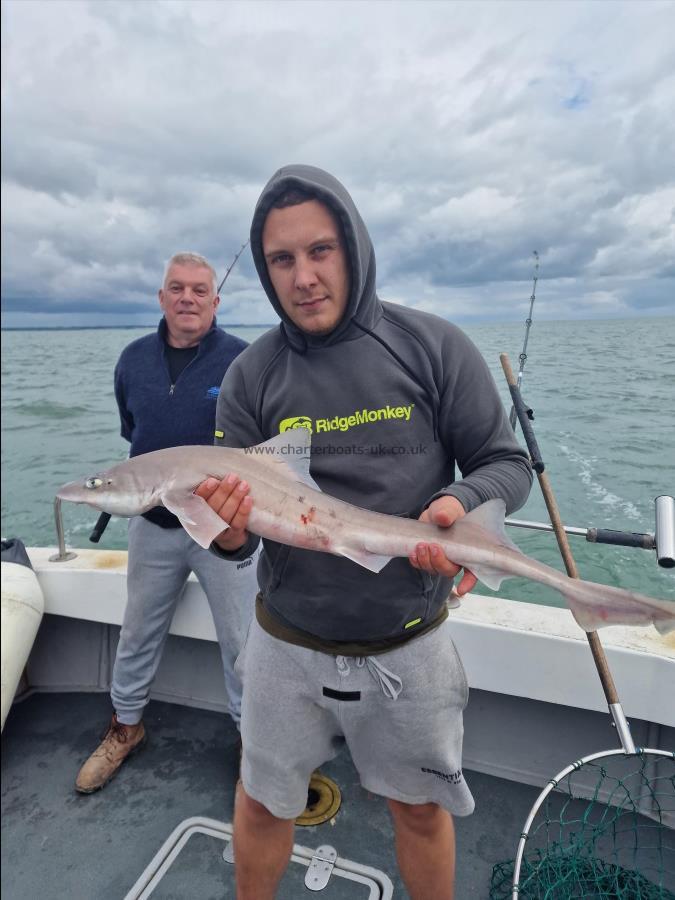 7 lb Smooth-hound (Common) by Chris