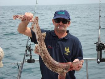 8 lb 2 oz Bull Huss by Andy Truelove