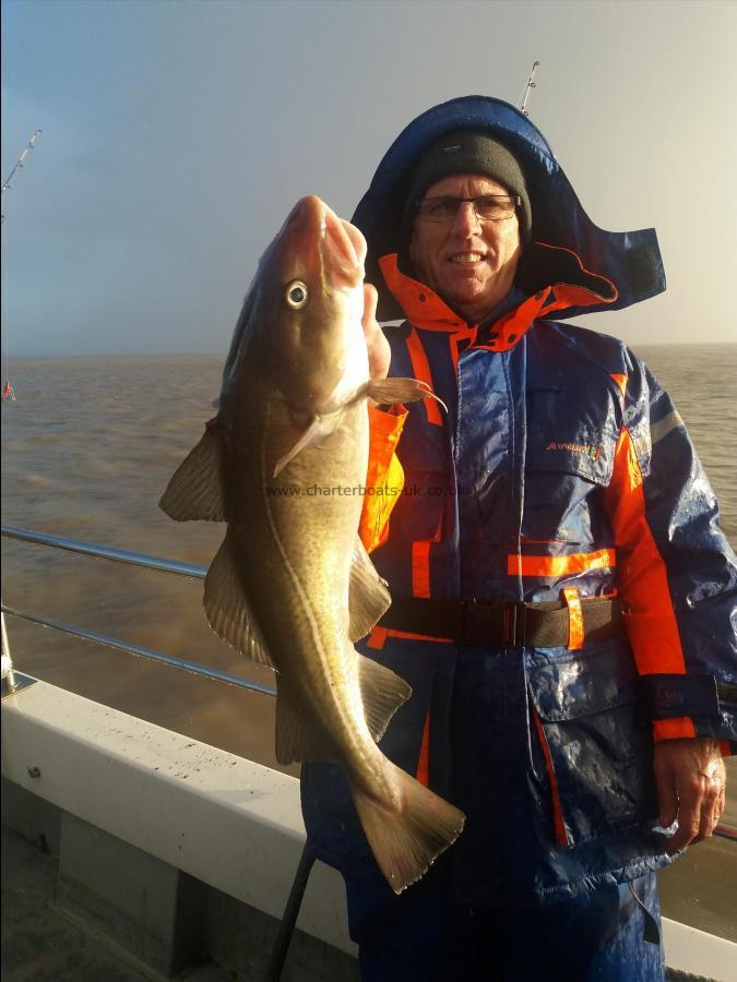 6 lb 8 oz Cod by Alan willavise