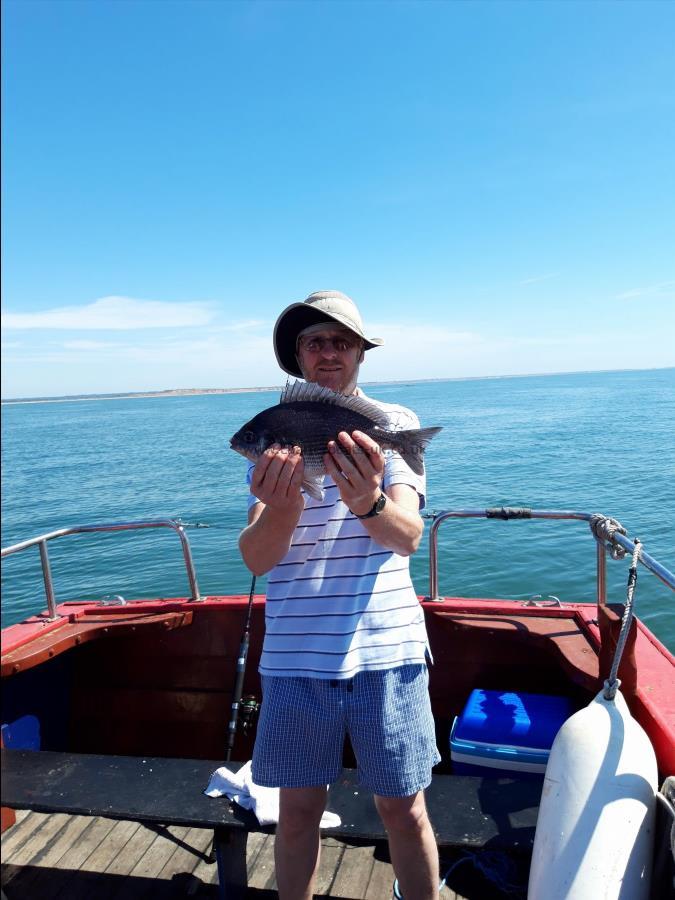 2 lb 8 oz Black Sea Bream by Malcolm Paine