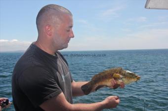 1 lb 8 oz Ballan Wrasse by Dave