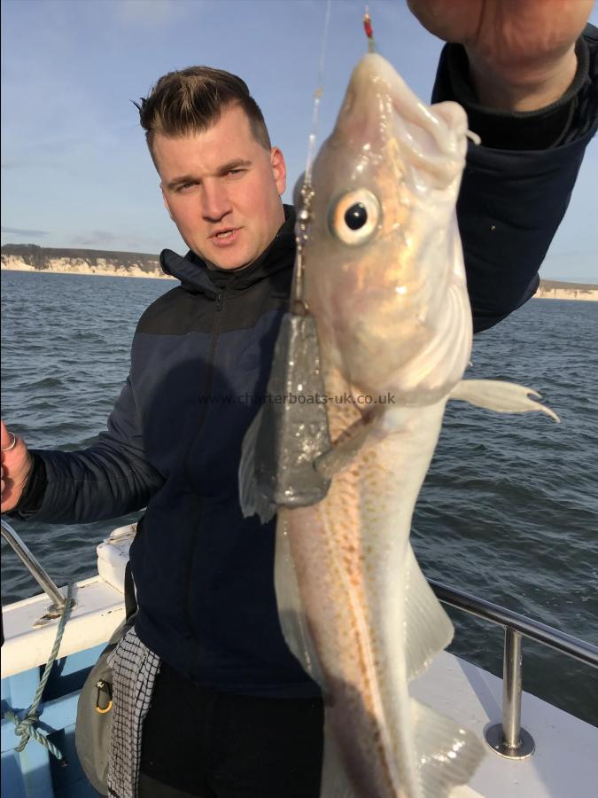 2 lb Cod by Andrews from hull , cod