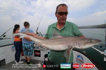 15 lb Starry Smooth-hound by Steve