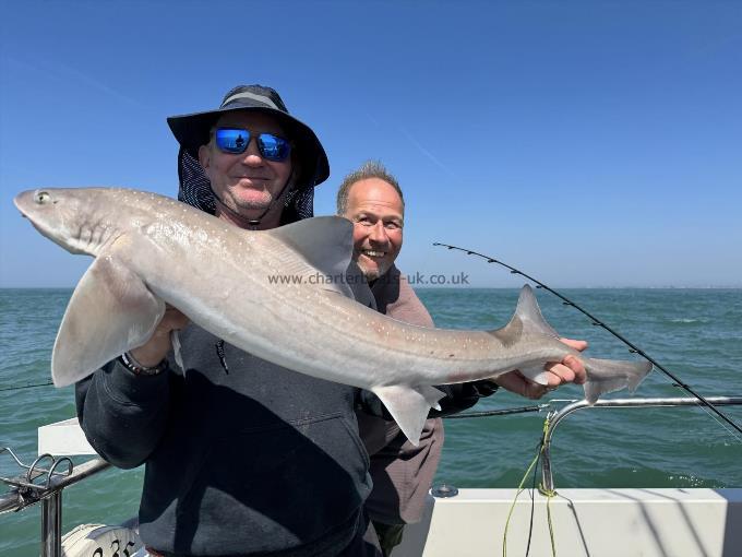 10 lb Smooth-hound by Unknown