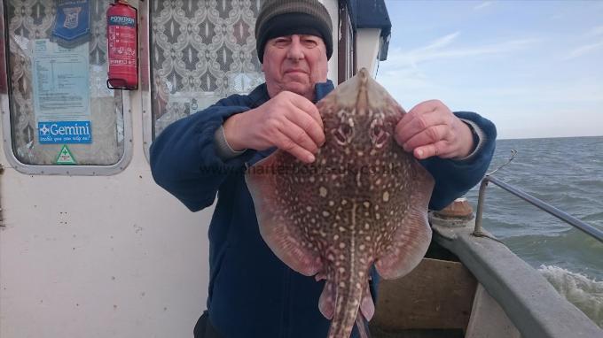 4 lb 3 oz Thornback Ray by Will from London